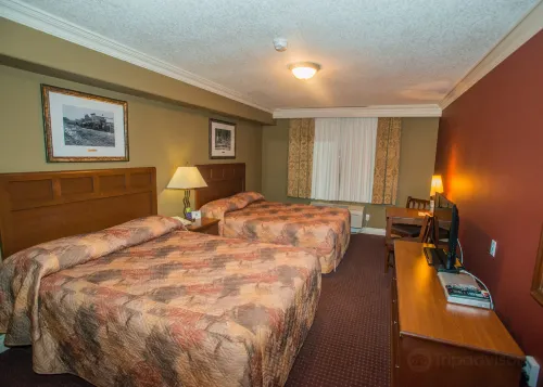 Lakeview Inns & Suites - Edson Airport West