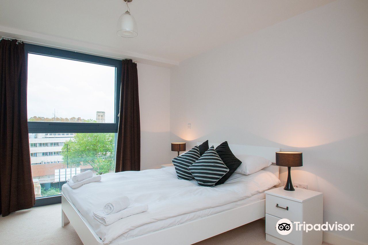 豪华一卧室公寓