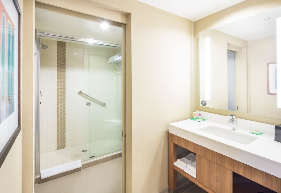 无障碍特大床间 - 带淋浴