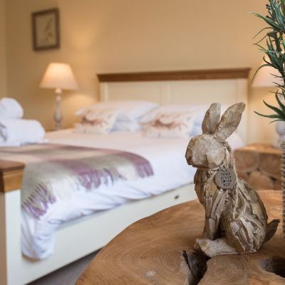 Luxury Hare Room The Lodge at Broadway Promo Code