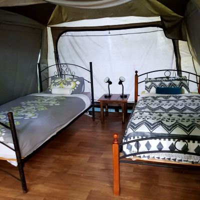 Twin Room-Safari Tent