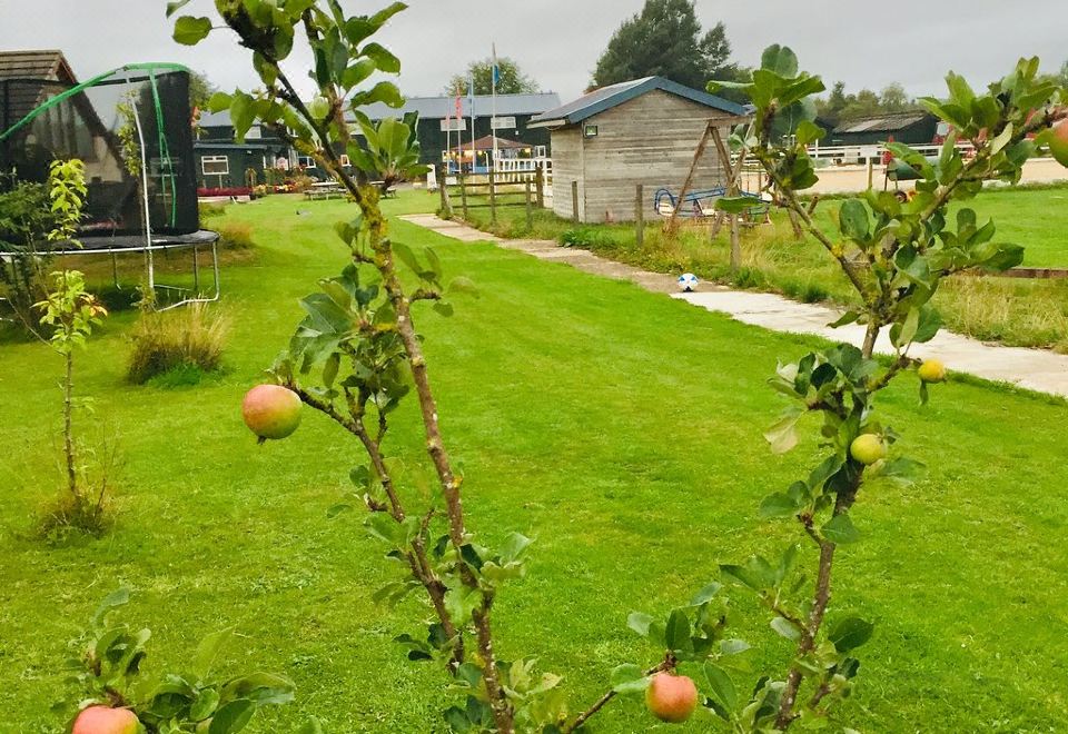 Scottish Equi B&B - Housity